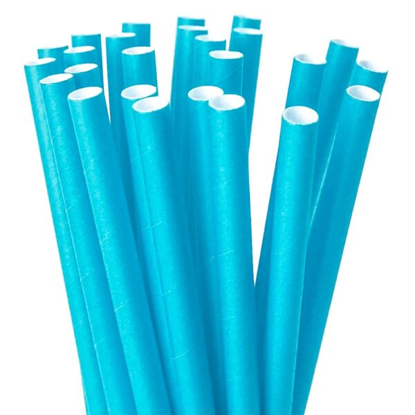 Canudos de Papel - Image 3